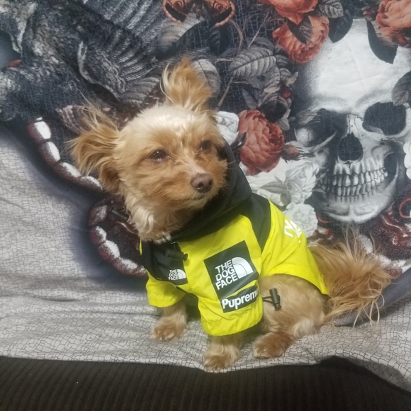 North Face Supreme Jacket (Dog) - Picture 4 of 4